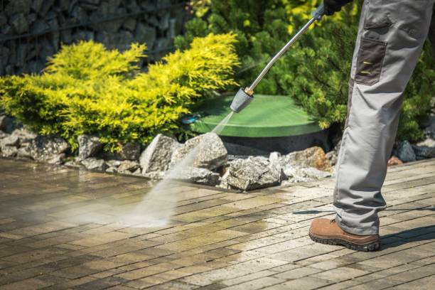 Best Driveway Cleaning and Restoration in Leilani Estates, HI