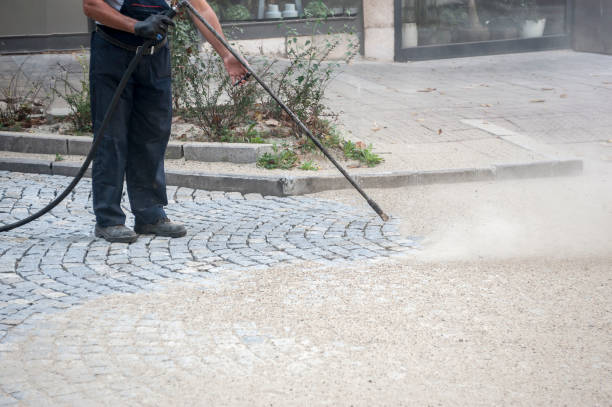 Best Roof Cleaning and Mildew Removal in Leilani Estates, HI